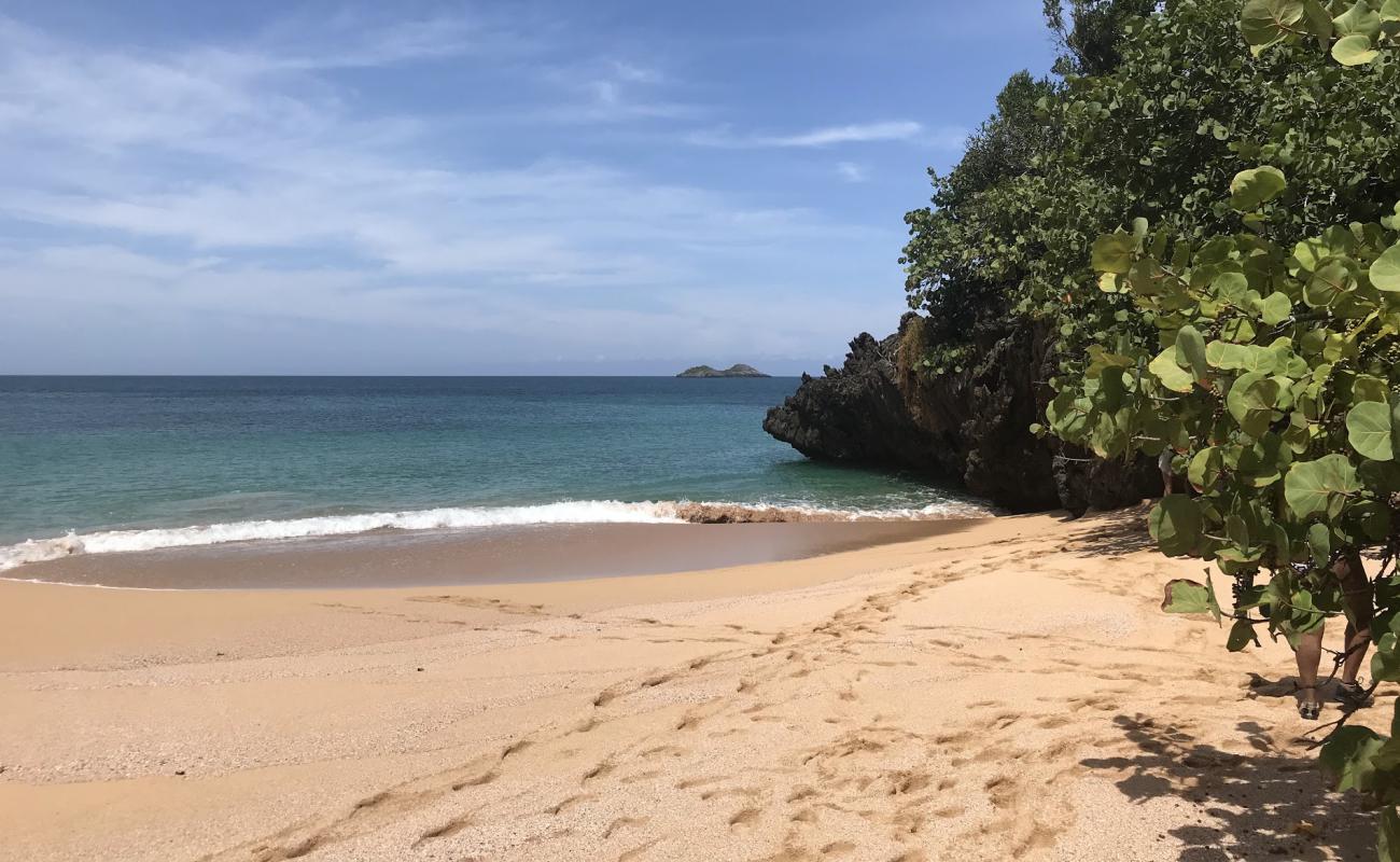 Photo de Playa Onda Samana avec sable lumineux de surface