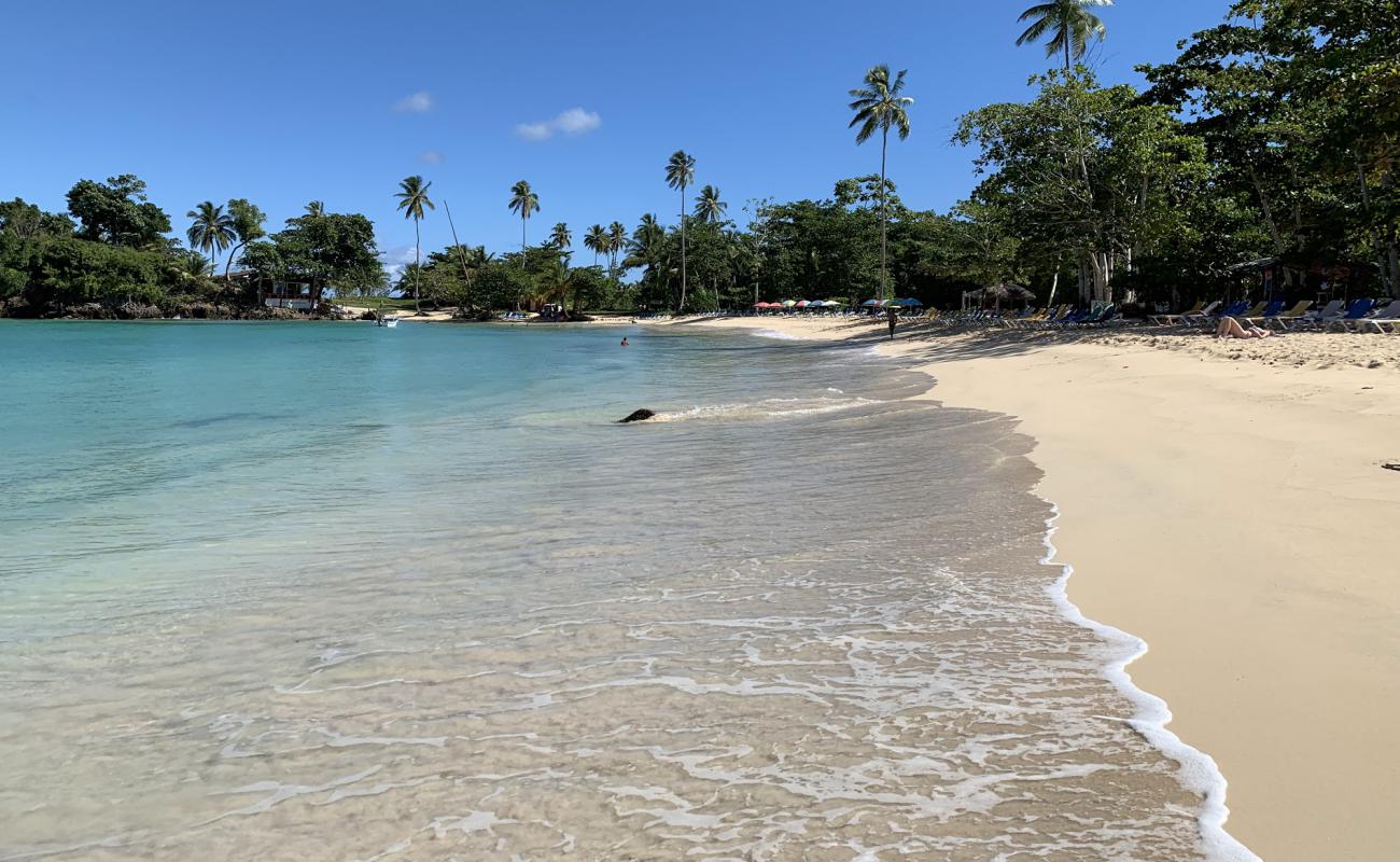 Photo de Playa Rincon avec sable fin et lumineux de surface