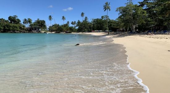 Les plages secrètes de la République dominicaine