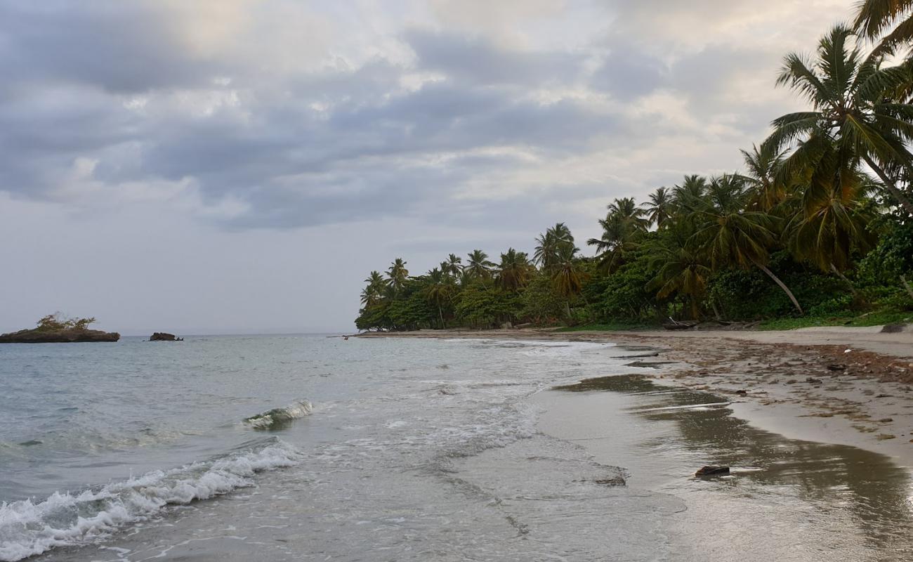 Photo de Playa Anacaona avec sable gris de surface