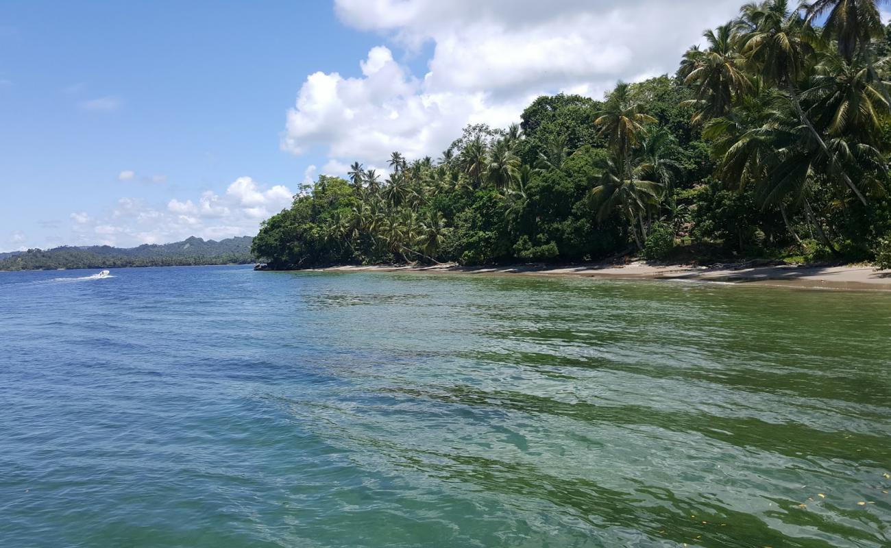 Photo de Playa Los Yagrumos avec sable fin gris de surface
