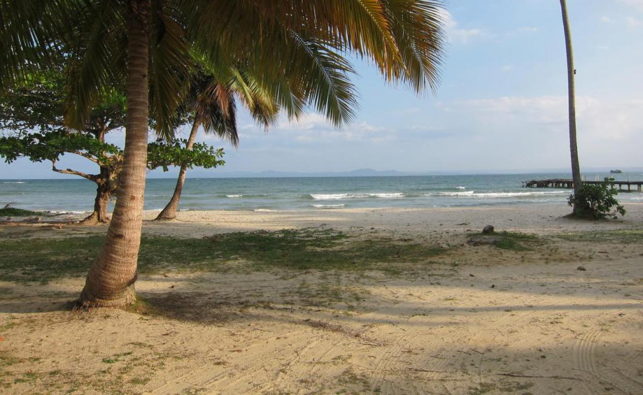 Photo de Playa la pascuala avec sable lumineux de surface