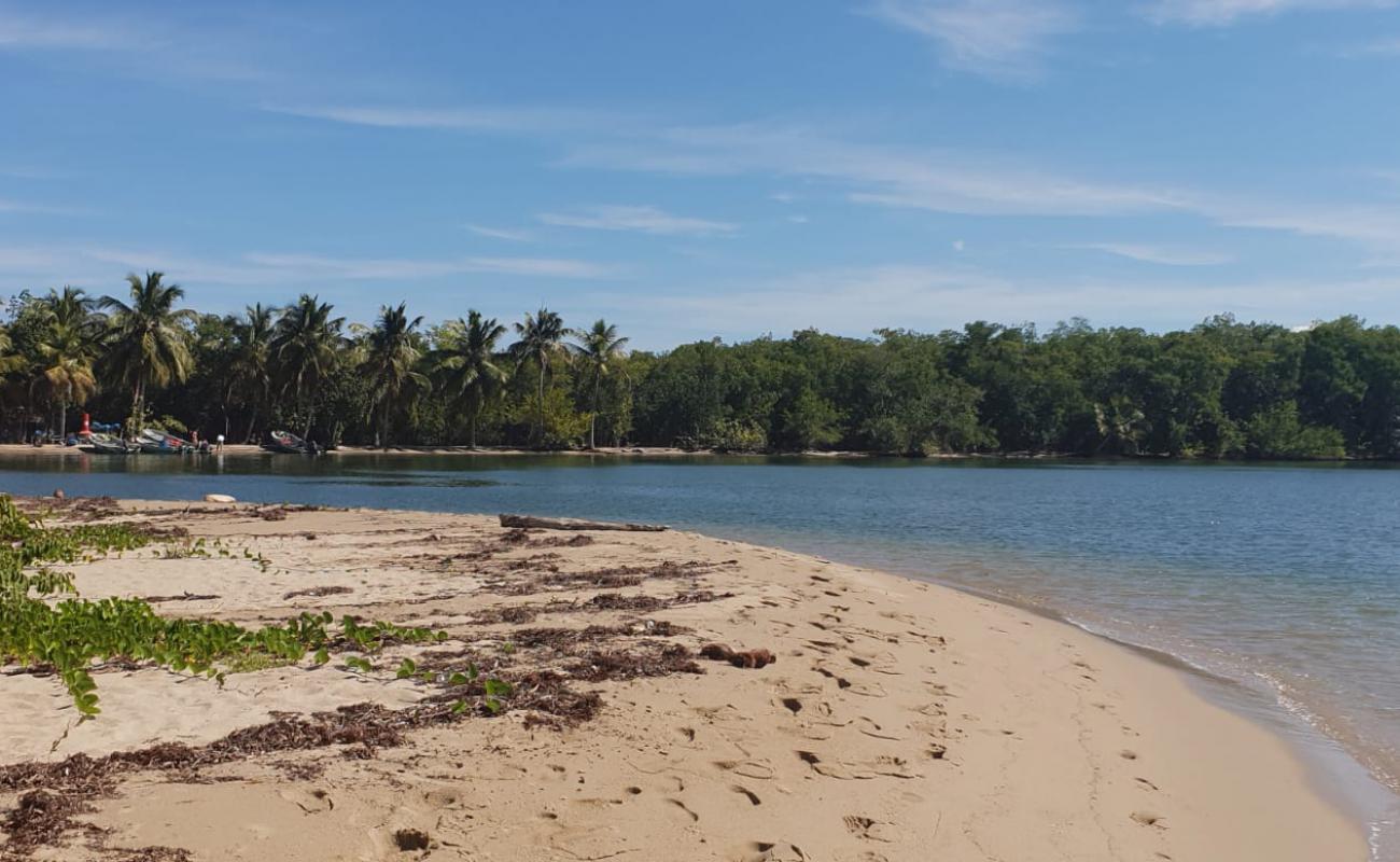 Photo de Playa Los Haitises avec sable beige de surface