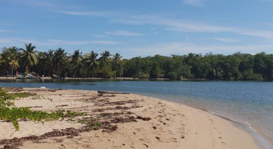 Playa Los Haitises