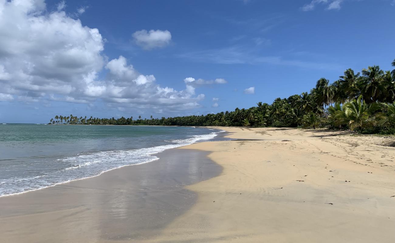 Photo de Playa Costa Esmeralda avec sable fin et lumineux de surface