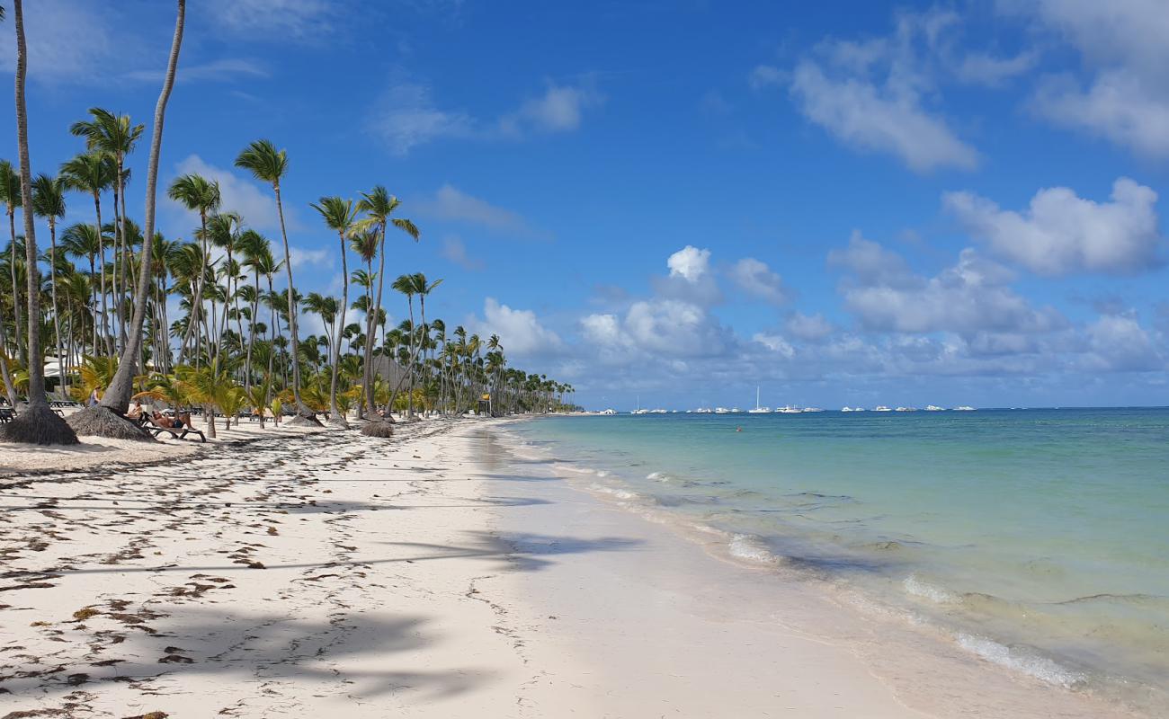 Photo de Plage de Bavaro II avec sable fin et lumineux de surface