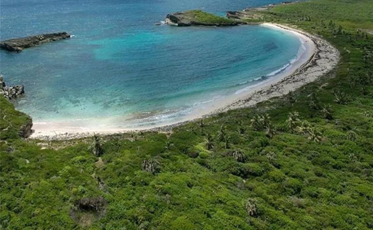Photo de Guanabano beach avec sable beige fin de surface