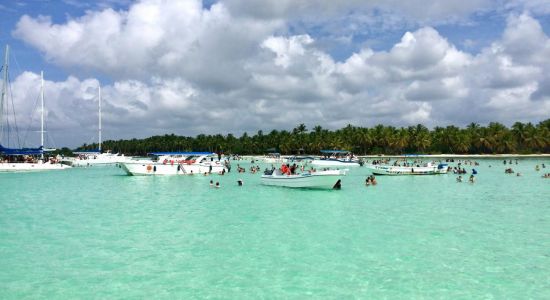 Saona beach