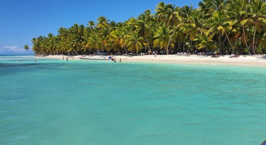 Plage de Palmilla