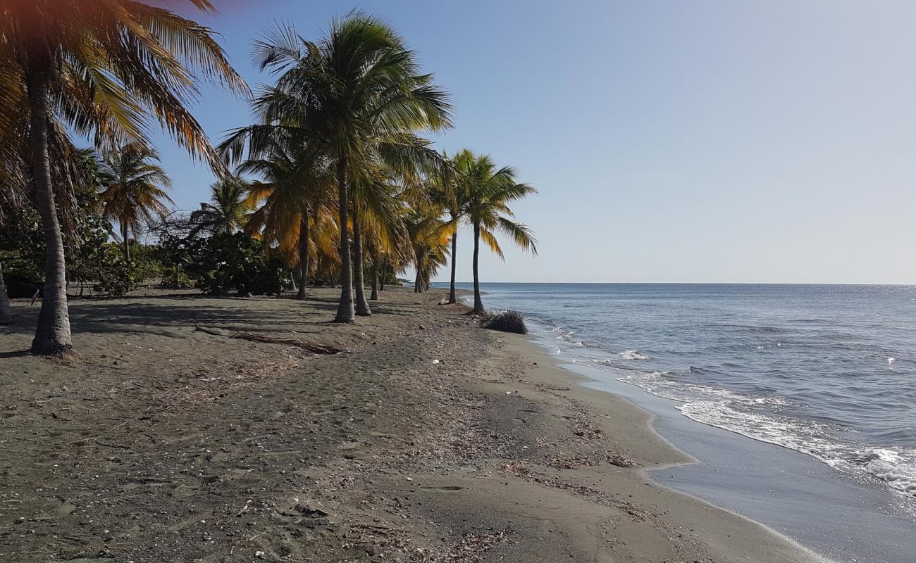 Photo de Playa Punta Salinas avec sable gris de surface