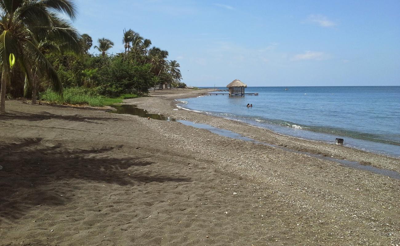 Photo de Palmar de Ocoa beach avec sable gris de surface