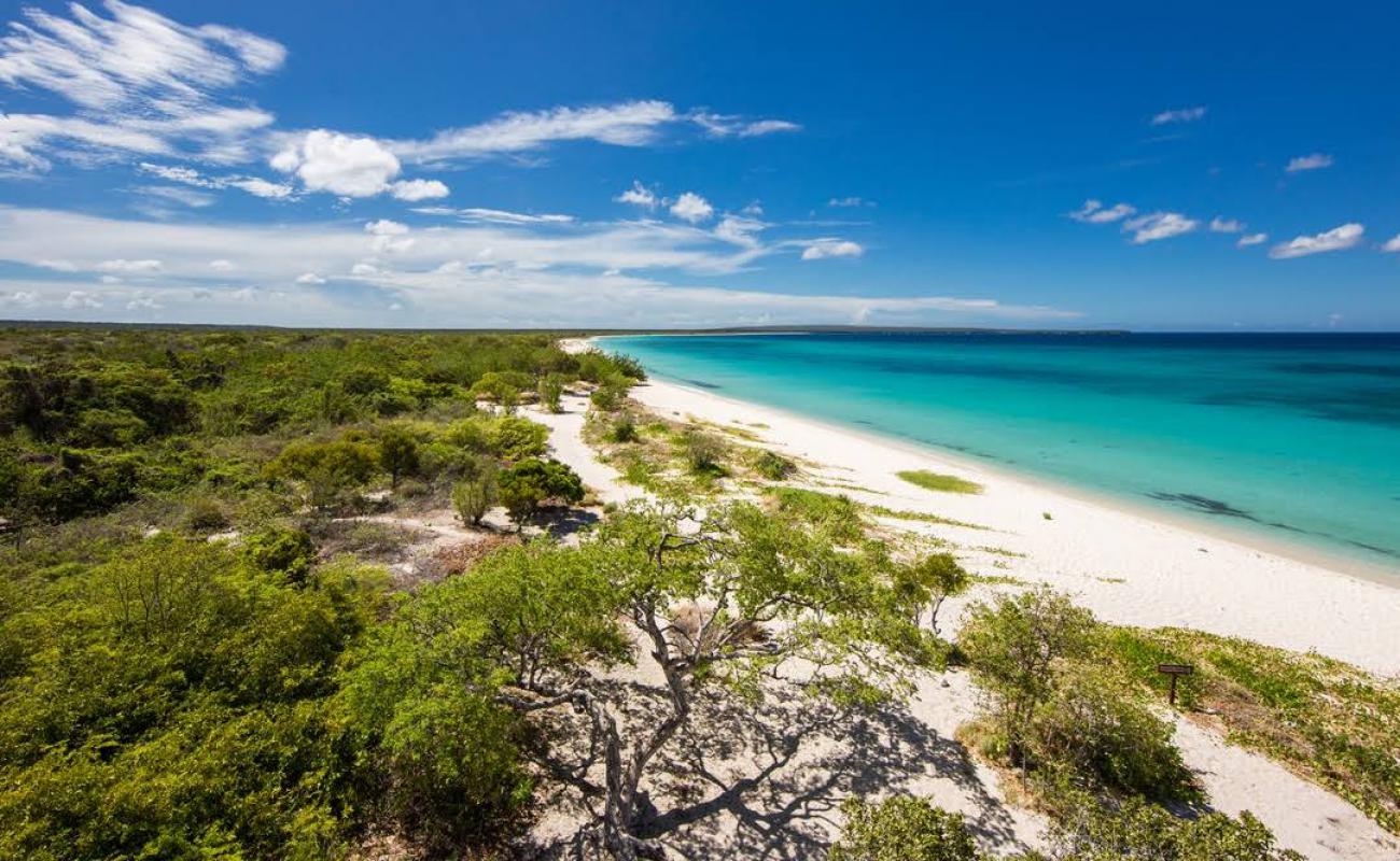 Photo de Eagles Bay beach avec sable fin et lumineux de surface