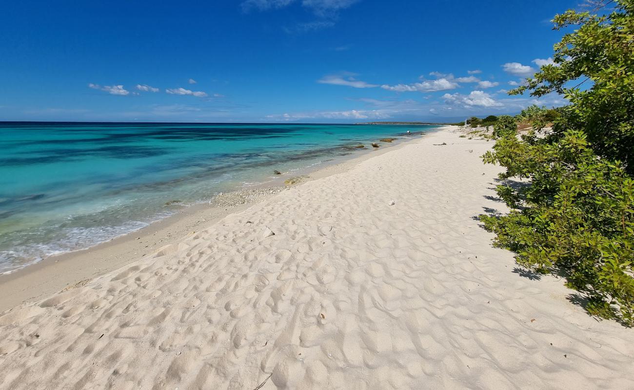 Photo de La Cueva beach avec sable beige fin de surface