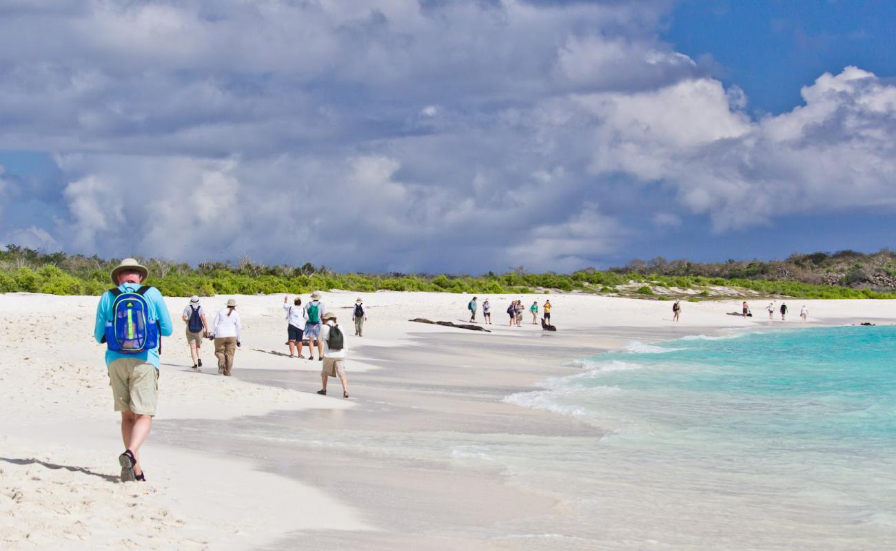 Photo de Bahia Gardner avec sable fin blanc de surface