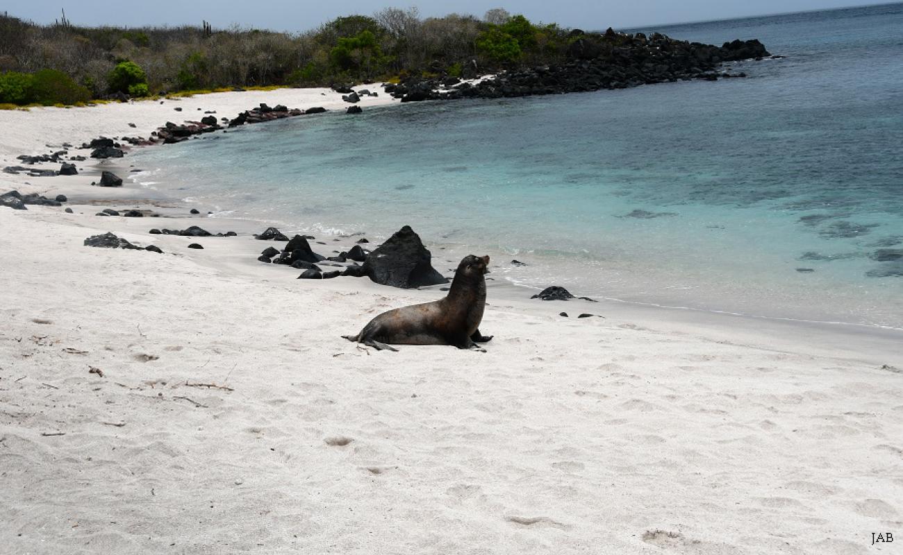 Photo de Playa Baquerizo avec sable lumineux de surface