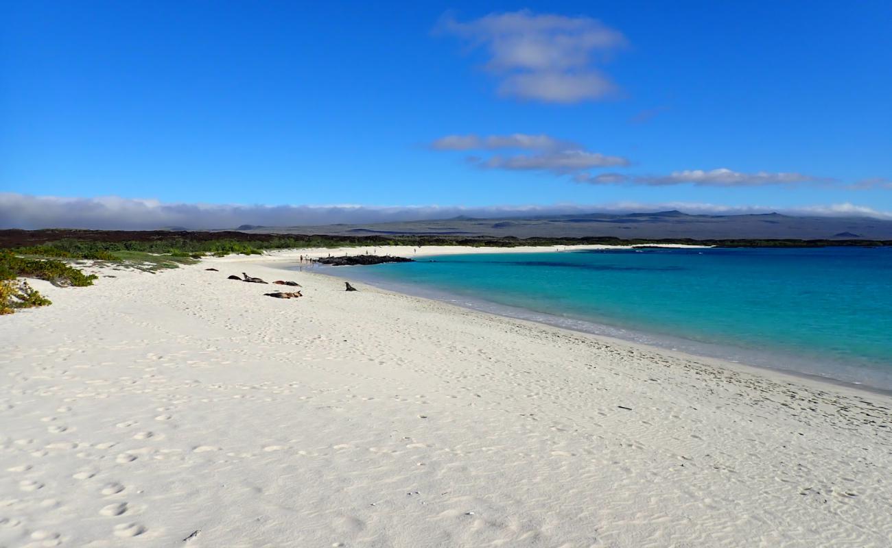 Photo de Playa Cerro Brujo avec sable fin blanc de surface