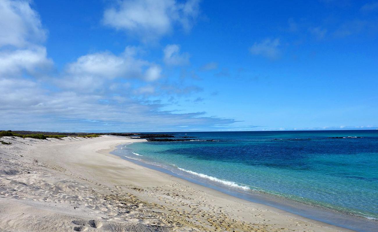 Photo de Playa La Galapaguera avec sable lumineux de surface