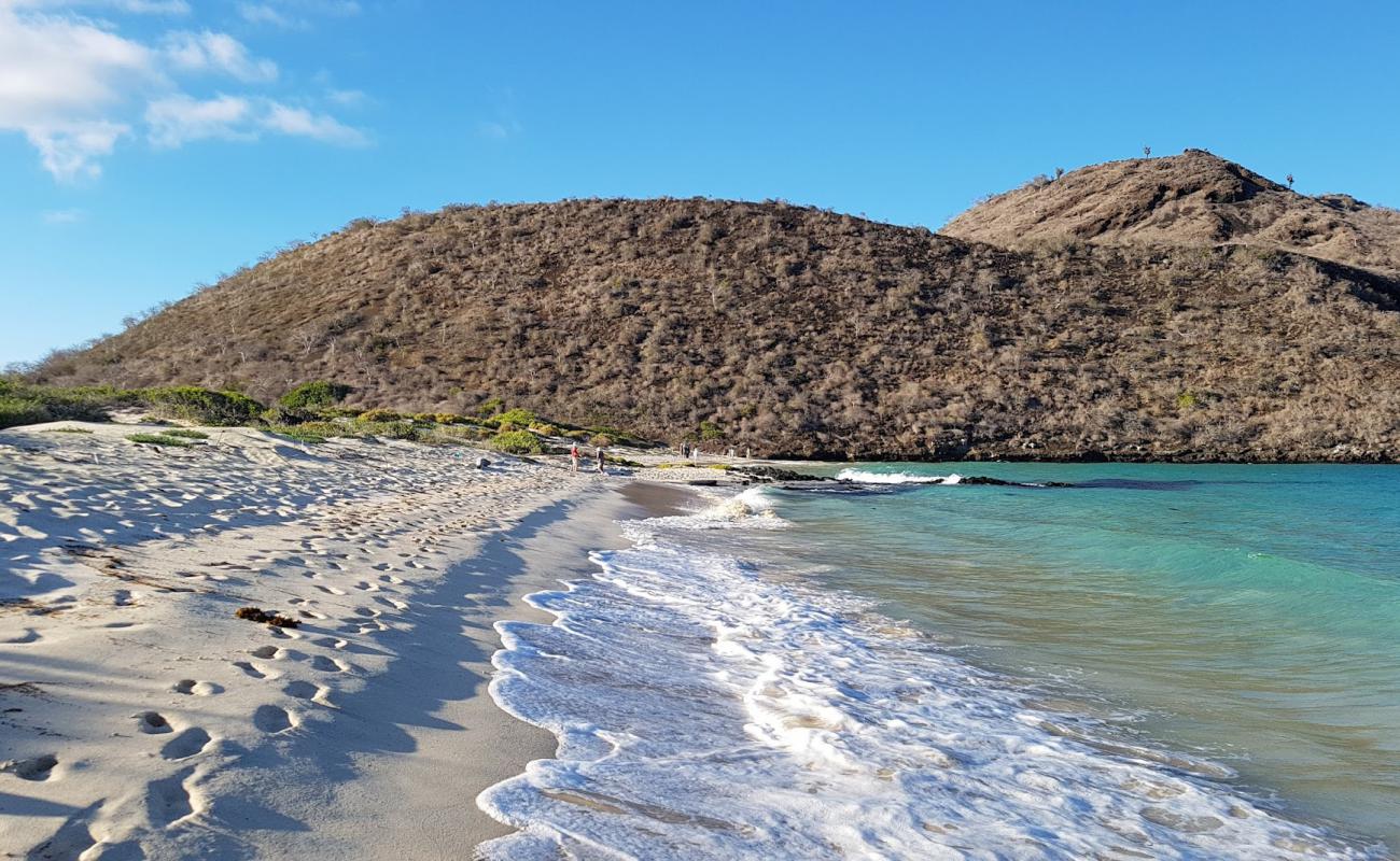 Photo de Punta Cormorant avec sable lumineux de surface