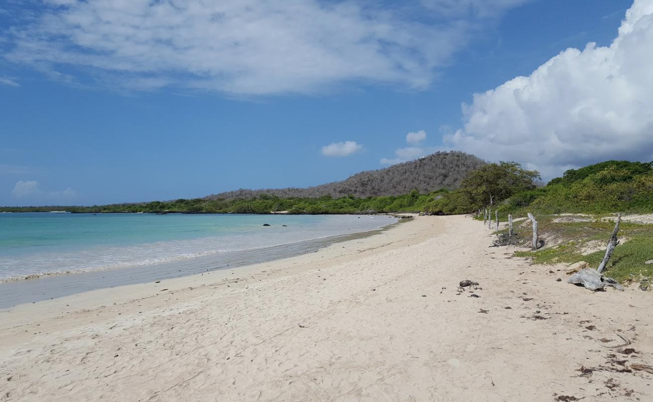 Photo de Playa El Garrapatero avec sable lumineux de surface