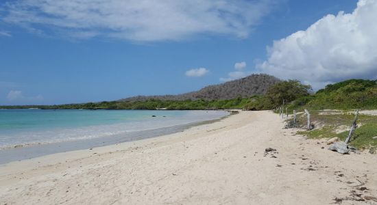 Playa El Garrapatero