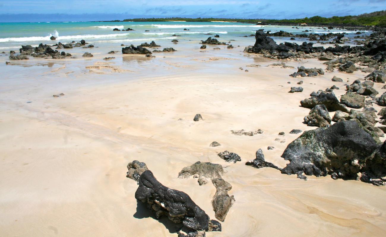 Photo de Garrapatero Beach avec sable lumineux de surface