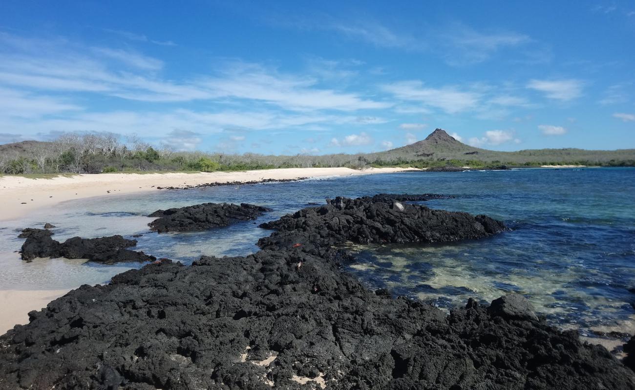 Photo de Cerro Dragon Beach avec sable brillant et rochers de surface