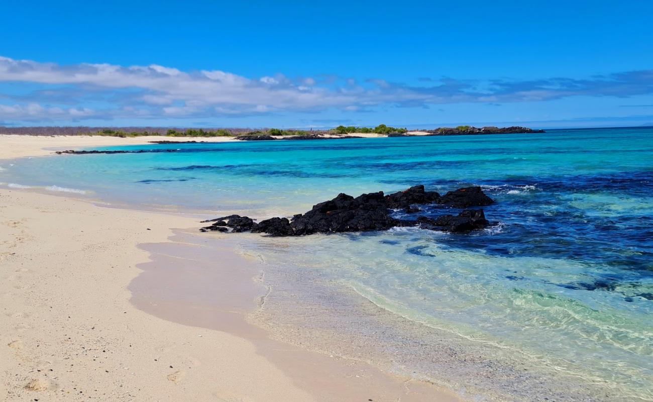 Photo de Playa Las Bachas avec sable fin blanc de surface