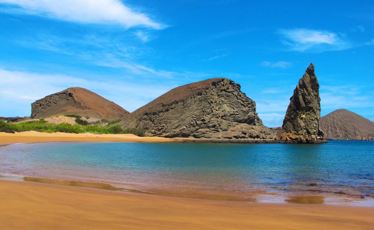 Photo de Playa Dorada avec sable lumineux de surface