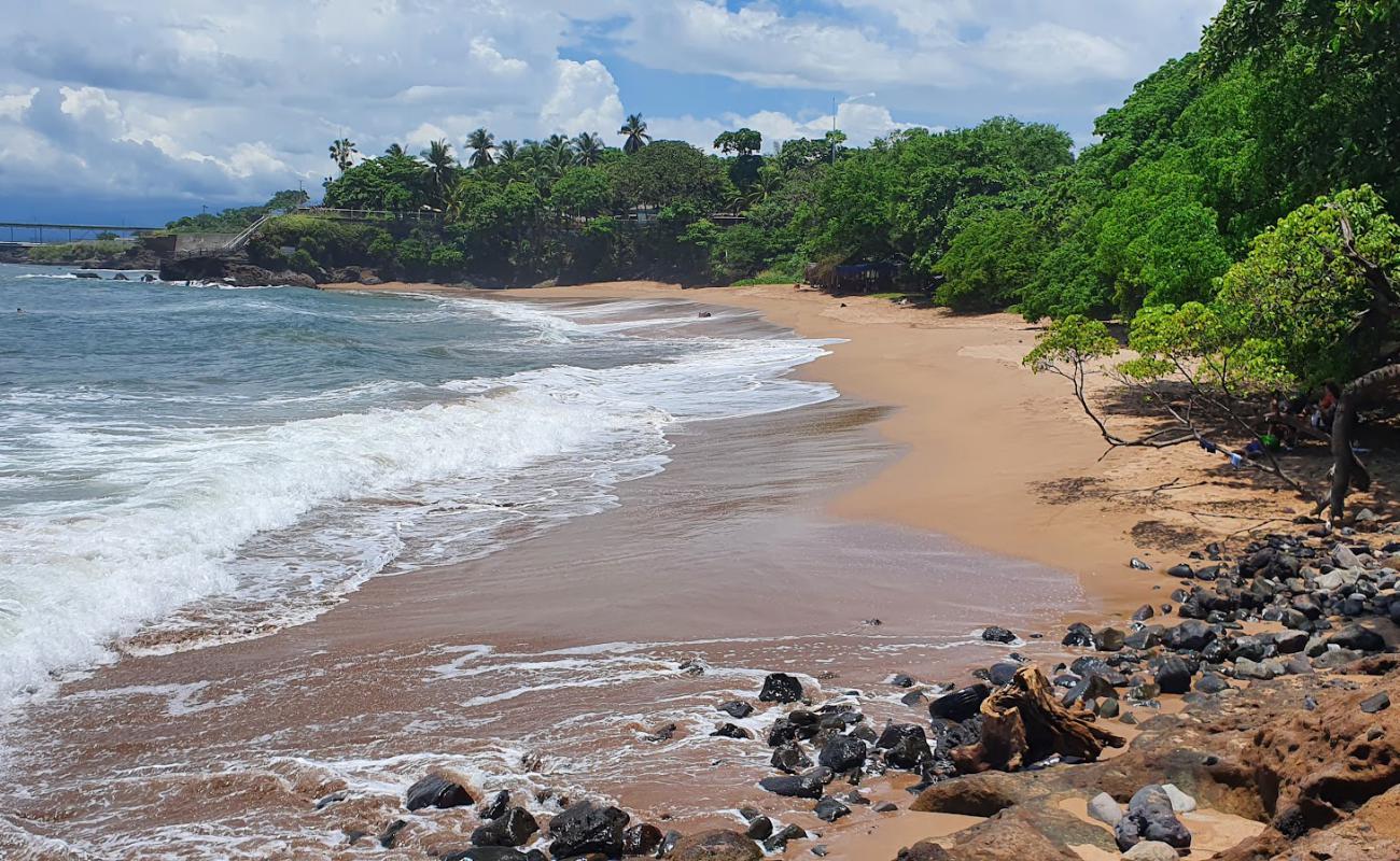 Photo de Flowers Beach avec sable brun de surface