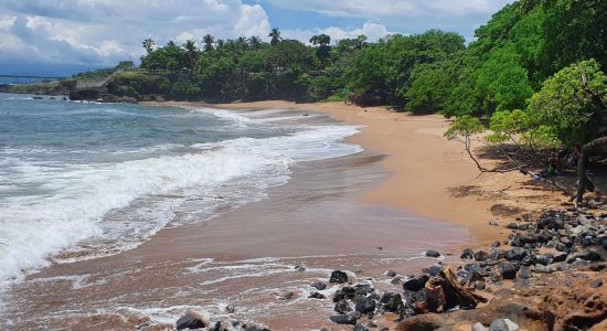 Flowers Beach