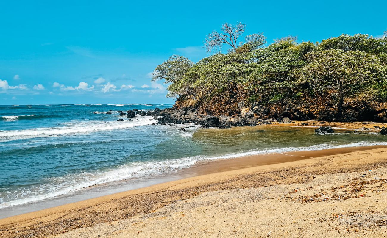 Photo de El Flor Beach avec sable brillant et rochers de surface