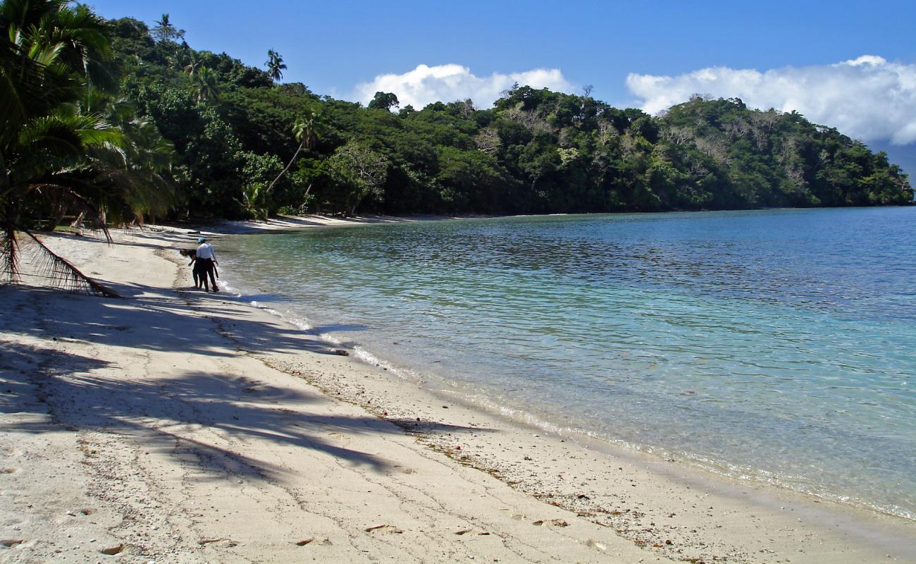 Photo de Waitatavi Bay Beach avec sable blanc de surface