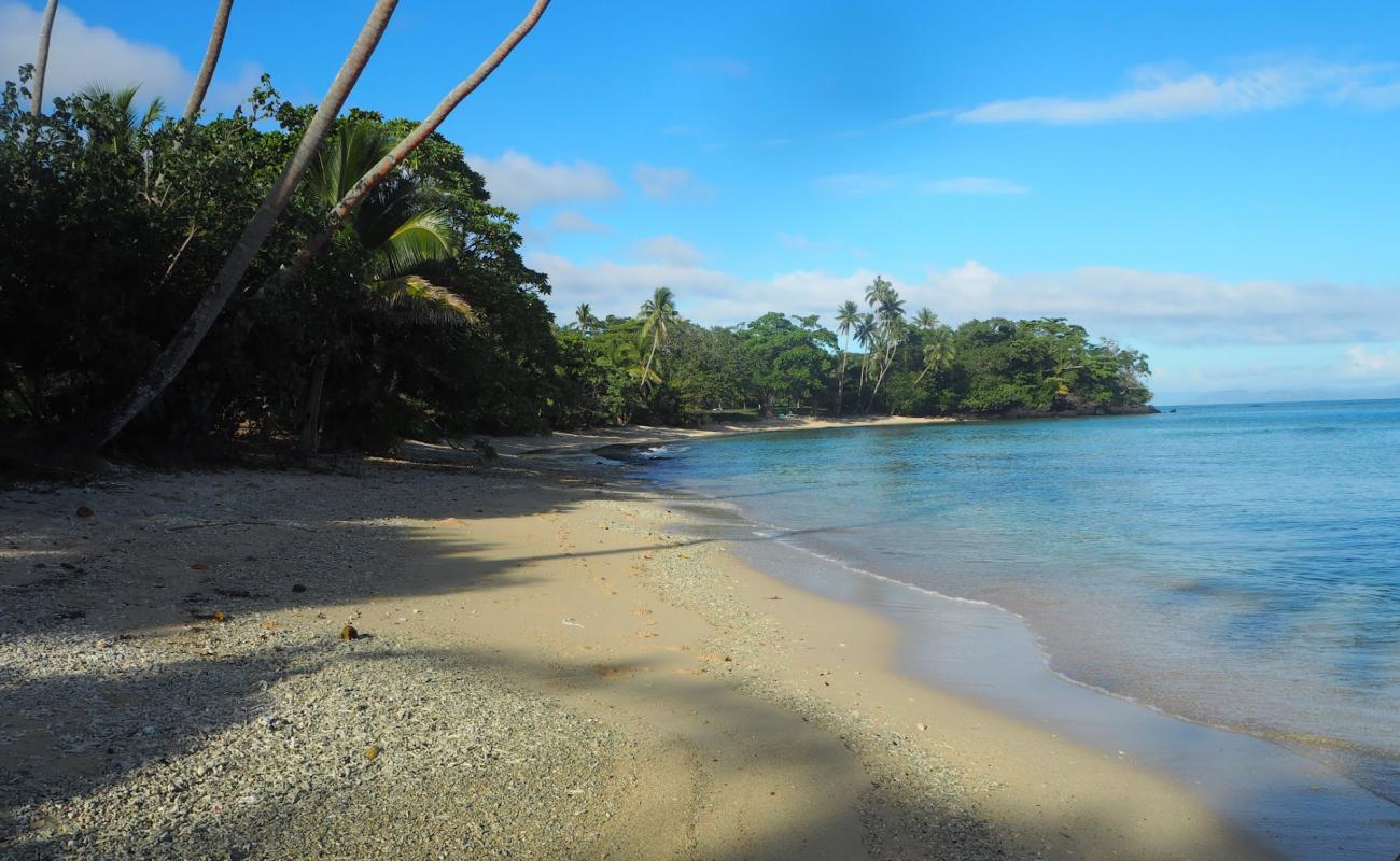 Photo de Vacala Bay Beach avec sable coquillier lumineux de surface