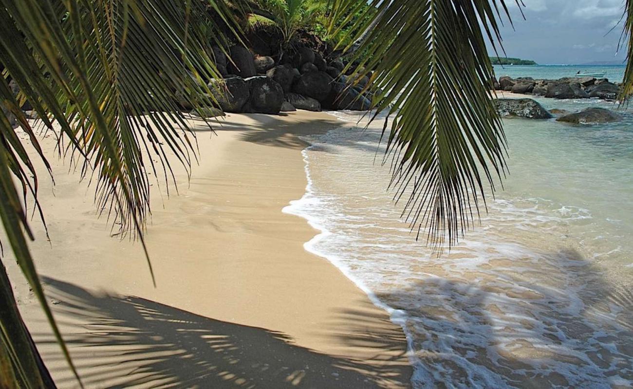 Photo de Taveuni Beach avec sable beige fin de surface