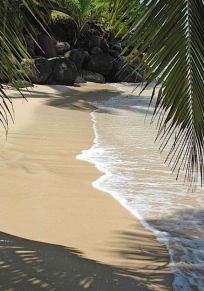 Île de Taveuni
