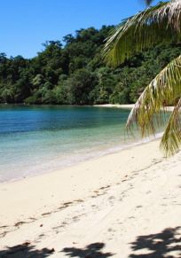 Île de Laucala