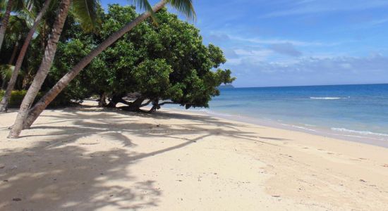 Laucala Beach II