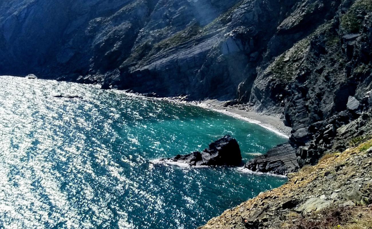 Photo de Plage du Minerai avec galets gris de surface