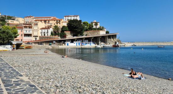 Plage de Cerbère