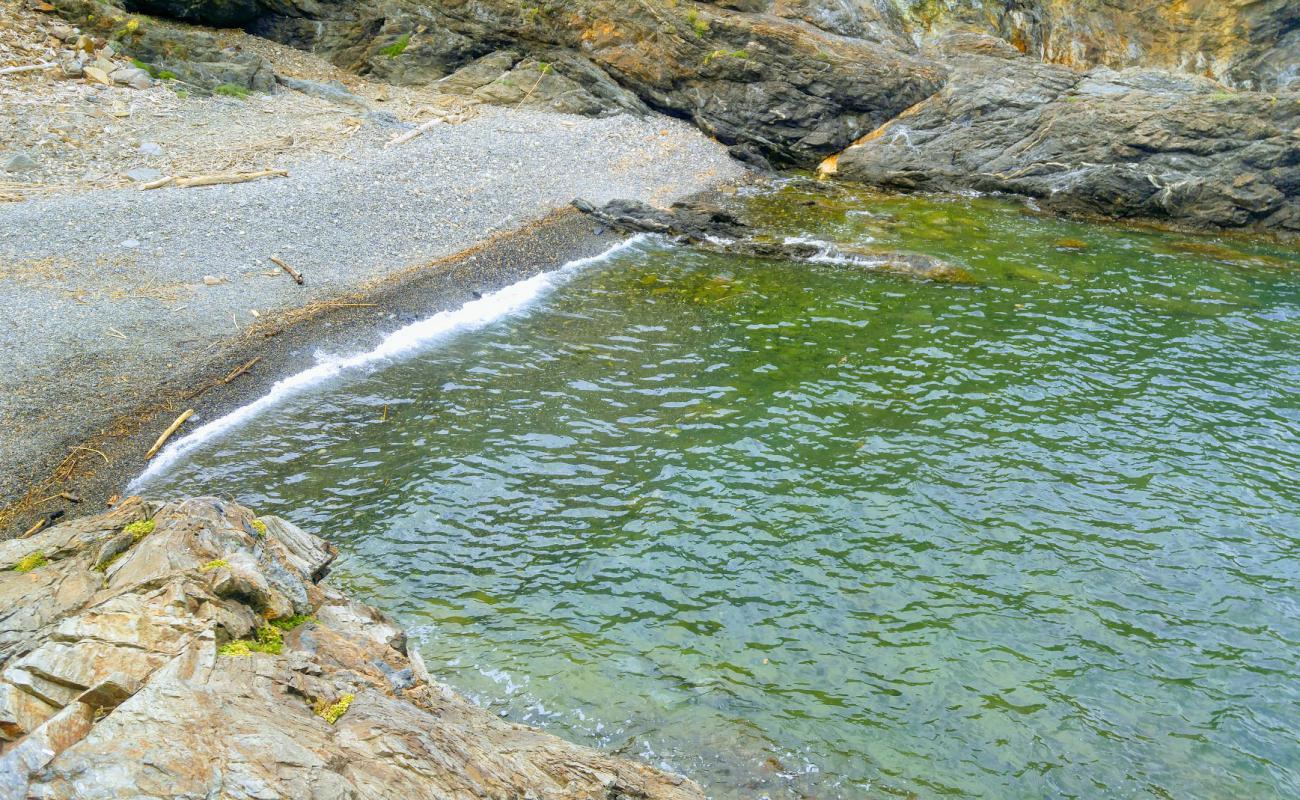 Photo de Cap Canadel beach avec terrain rocheux de surface