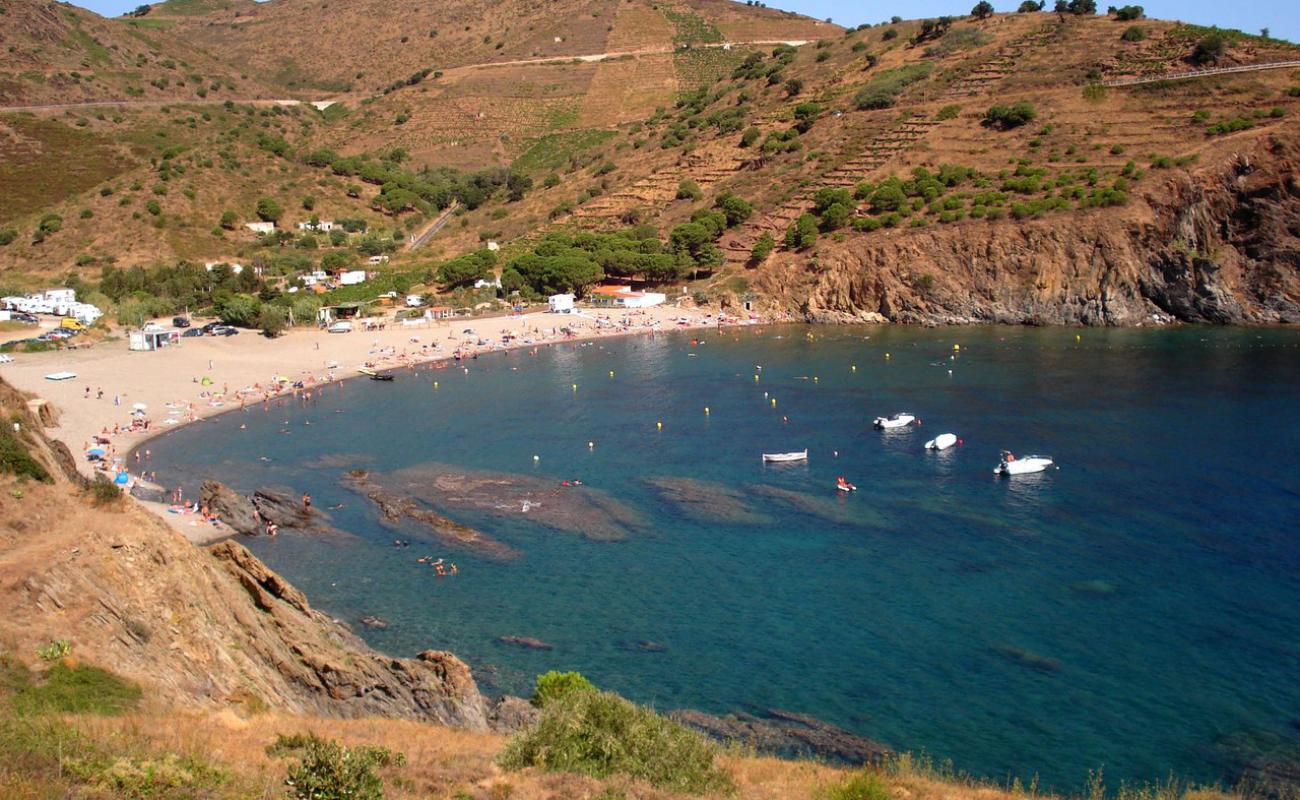 Photo de Peyrefite beach avec caillou gris de surface