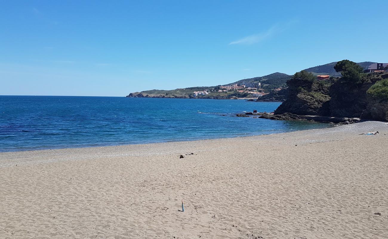 Photo de Sana beach avec sable clair avec caillou de surface