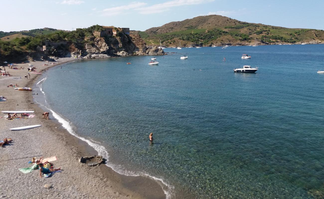 Photo de Plage del Forat avec caillou clair de surface