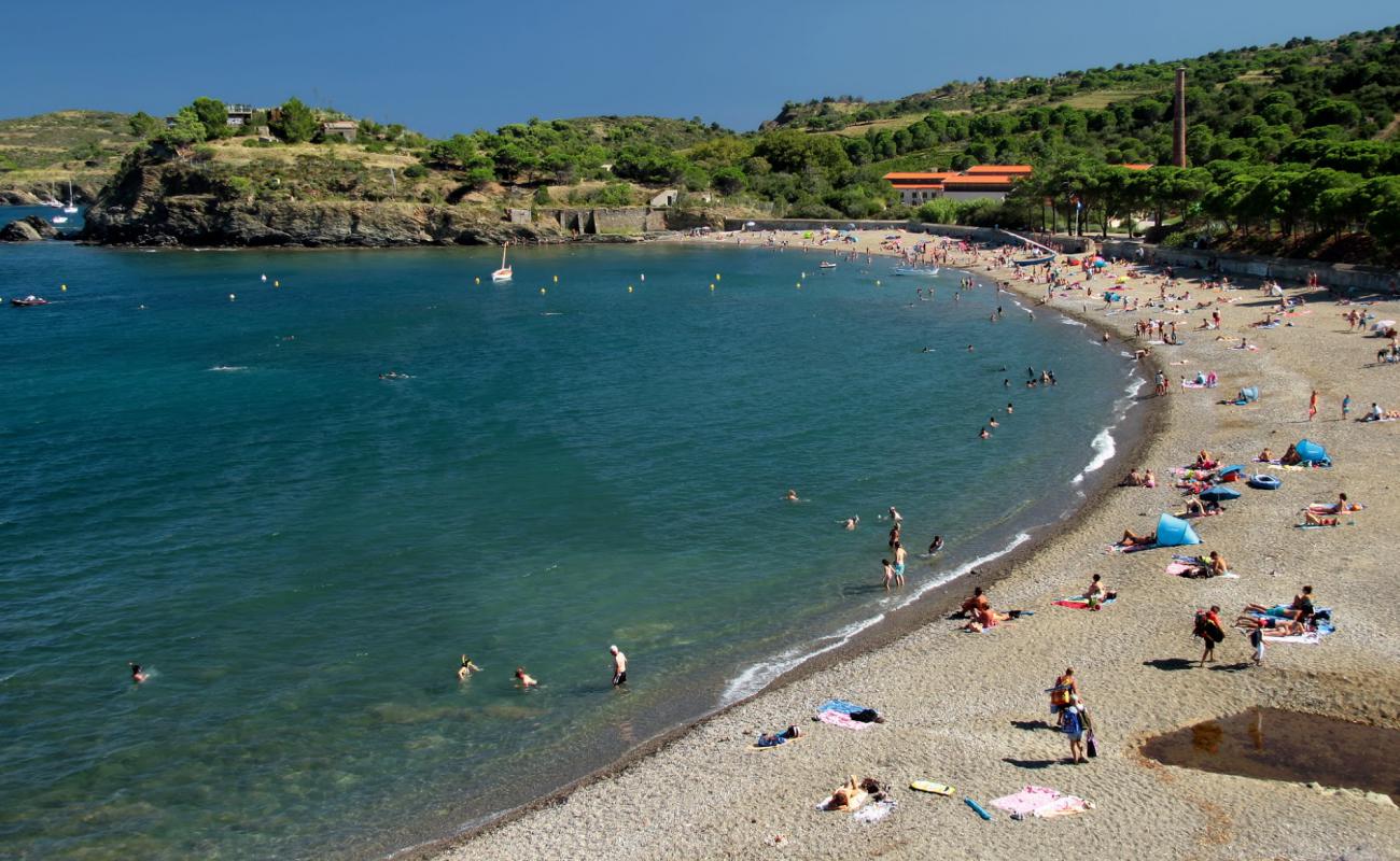 Photo de Paulilles beach avec caillou fin clair de surface