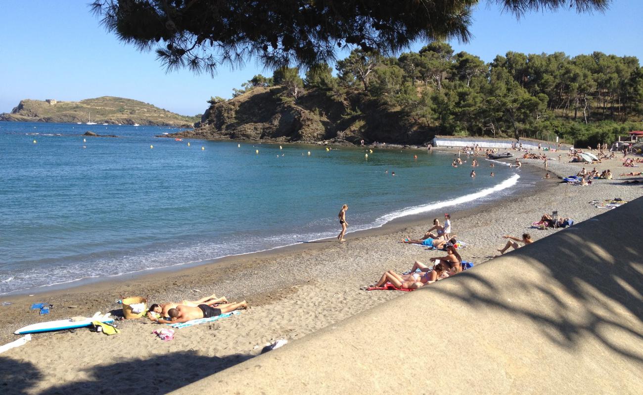 Photo de Plage Bernardi avec caillou fin clair de surface