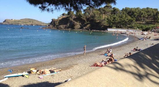 Plage Bernardi