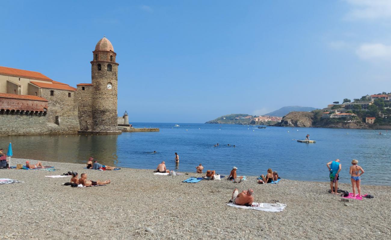 Photo de Collioure plage avec caillou fin clair de surface