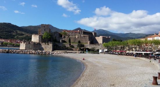 Collioure plage