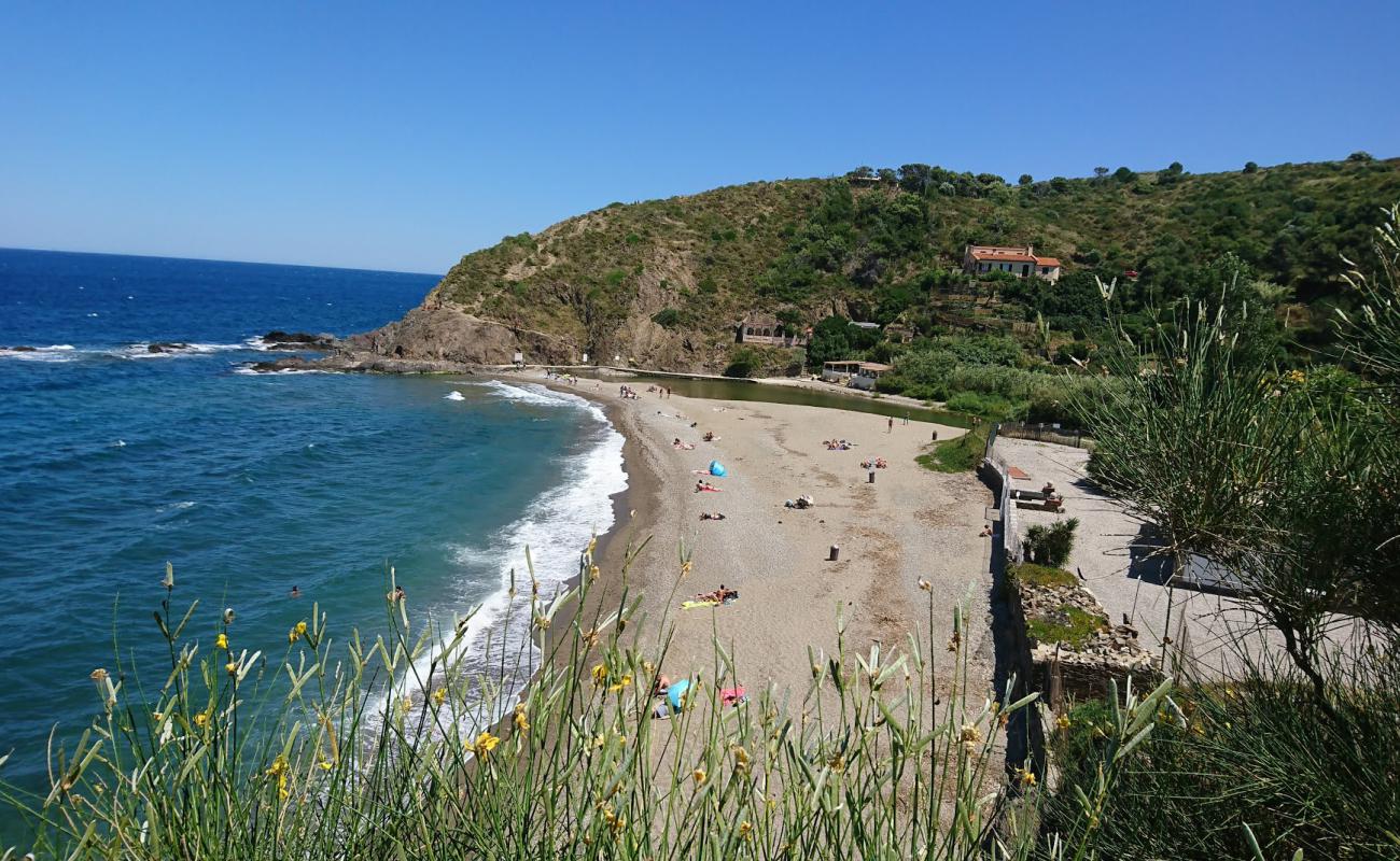 Photo de Plage de l'Ouille avec caillou fin clair de surface