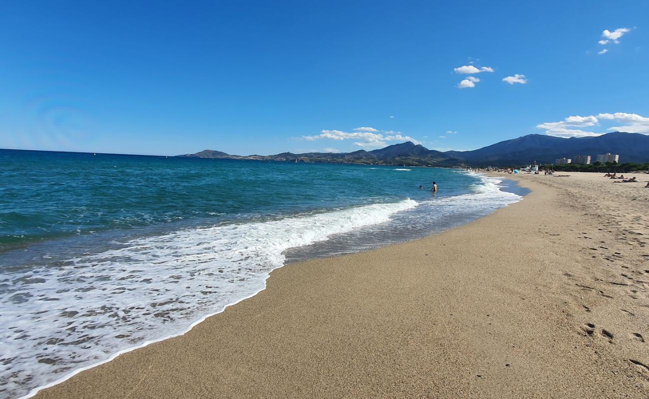 Photo de Plage des Pins avec sable fin et lumineux de surface